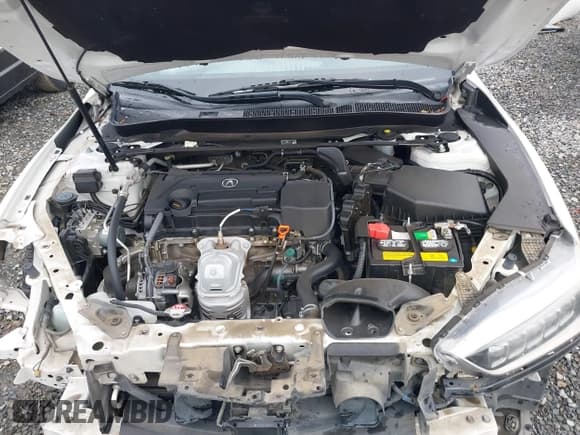 ✅ 2019 Acura TLX • VIN: 19UUB1F31KA003460 • Lot: 43768390. Listed on IAAI with 87,636 mi. Free auction sales archive from the USA and detailed vehicle history report at DreamBid. Image 10.