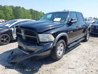 ✅ 2010 Dodge 1500 SLT • VIN: 1D7RV1CT8AS239196 • Lot: 42006534. Wystawiony na IAAI z przebiegiem 221 063 mil. Bezpłatny archiwum sprzedaży aukcyjnych z USA i szczegółowy raport historii pojazdu na DreamBid. Zdjęcie 2.