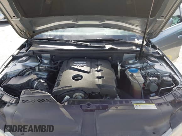 ✅ 2010 Audi A4 Premium Plus • VIN: WAUFFAFL4AN068853 • Lot: 42732585. Listed on IAAI with 119,245 mi. Free auction sales archive from the USA and detailed vehicle history report at DreamBid. Image 10.