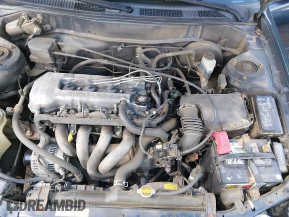 ✅ 1999 Toyota Corolla VE • VIN: 2T1BR12EXXC125004 • Лот: 42189827. Опубликован ранее на IAAI с пробегом 159 460 миль. Бесплатный доступ к архиву аукционных продаж из США и подробный отчёт об истории автомобиля на DreamBid. Изображение 10.