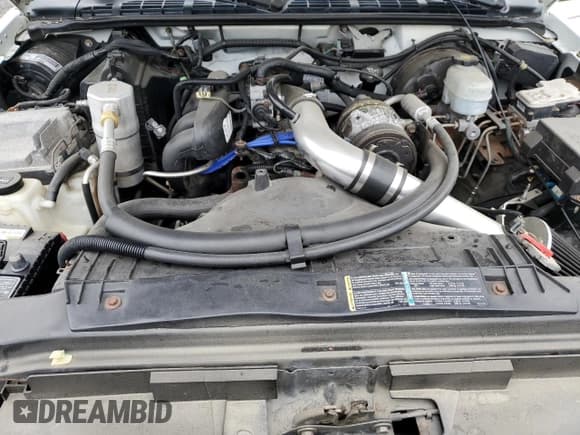 ✅ 2003 GMC Sonoma SLS • VIN: 1GTCS19H838287924 • Lot: 49312744. Wystawiony na Copart z przebiegiem 134 877 mil. Bezpłatny archiwum sprzedaży aukcyjnych z USA i szczegółowy raport historii pojazdu na DreamBid. Zdjęcie 11.