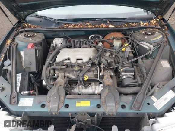 ✅ 1998 Buick Century Custom • VIN: 2G4WS52M8W1595335 • Лот: 42707163. Опубликован ранее на IAAI с пробегом 201 996 миль. Бесплатный доступ к архиву аукционных продаж из США и подробный отчёт об истории автомобиля на DreamBid. Изображение 10.