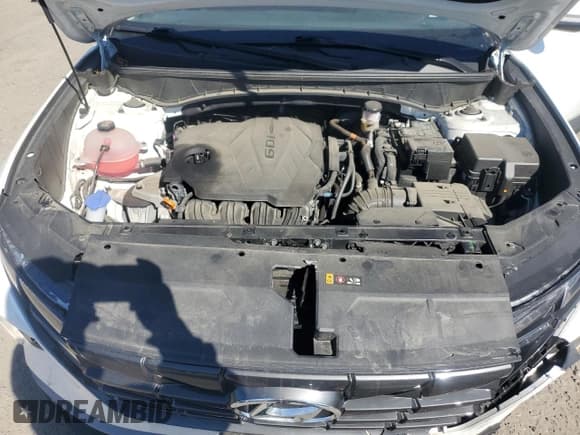 ✅ 2023 Hyundai Tucson SEL • VIN: 5NMJBCAE5PH252945 • Lot: 75486624. Wystawiony na Copart z przebiegiem 34 553 mil. Bezpłatny archiwum sprzedaży aukcyjnych z USA i szczegółowy raport historii pojazdu na DreamBid. Zdjęcie 12.