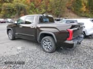 ✅ 2025 Toyota Tundra 1794 Edition • VIN: 5TFMA5DB5SX271783 • Lot: 90078695. Wystawiony na Copart z przebiegiem 11 800 mil. Bezpłatny archiwum sprzedaży aukcyjnych z USA i szczegółowy raport historii pojazdu na DreamBid. Zdjęcie 2.