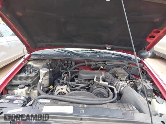 ✅ 1997 Chevrolet Blazer LS • VIN: 1GNDT13W2V2103356 • Lot: 42352435. Wystawiony na IAAI z przebiegiem 181 975 mil. Bezpłatny archiwum sprzedaży aukcyjnych z USA i szczegółowy raport historii pojazdu na DreamBid. Zdjęcie 10.