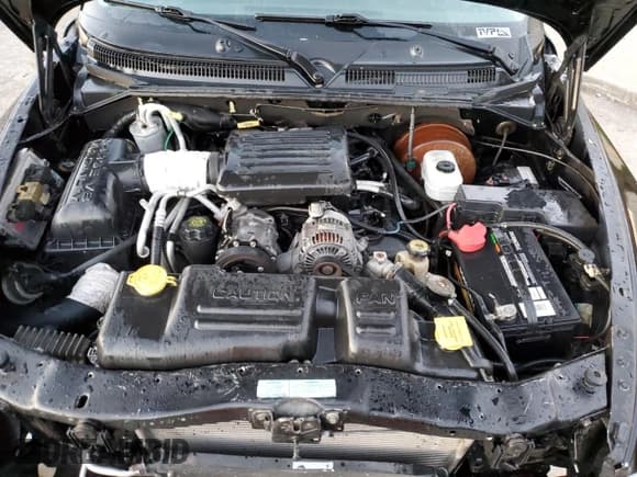 ✅ 2002 Dodge Dakota Sport • VIN: 1B7HG38N22S501091 • Lot: 82390054. Wystawiony na Copart z przebiegiem 104 300 mil. Bezpłatny archiwum sprzedaży aukcyjnych z USA i szczegółowy raport historii pojazdu na DreamBid. Zdjęcie 11.