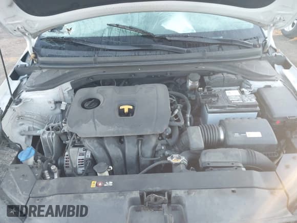 ✅ 2019 Hyundai Elantra SEL • VIN: 5NPD84LF6KH466927 • Lot: 43421078. Listed on IAAI with 112,119 mi. Free auction sales archive from the USA and detailed vehicle history report at DreamBid. Image 10.