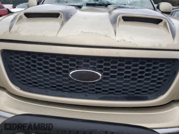 ✅ 1999 Ford F-150 XL • VIN: 1FTRX08L5XKB97084 • Lot: 89793435. Wystawiony na Copart z przebiegiem Nie podano. Bezpłatny archiwum sprzedaży aukcyjnych z USA i szczegółowy raport historii pojazdu na DreamBid. Zdjęcie 11.