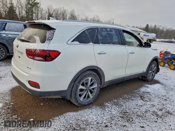 ✅ 2019 Kia Sorento EX • VIN: 5XYPHDA51KG608373 • Lot: 94556715. Wystawiony na Copart z przebiegiem Nie podano. Bezpłatny archiwum sprzedaży aukcyjnych z USA i szczegółowy raport historii pojazdu na DreamBid. Zdjęcie 3.