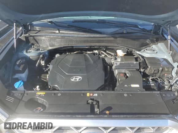 2020 Hyundai Palisade Limited с VIN KM8R5DHEXLU083977, выставлен на аукционе Copart как лот 75263844 с пробегом 78 380 миль миль и На запчасти • Non repairable. История ставок и продаж доступна на DreamBid. Изображение 12.