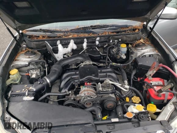 ✅ 2011 Subaru Outback Limited Power Moon • VIN: 4S4BRDLC1B2361199 • Lot: 55702985. Listed on Copart with 255,401 mi. Free auction sales archive from the USA and detailed vehicle history report at DreamBid. Image 12.