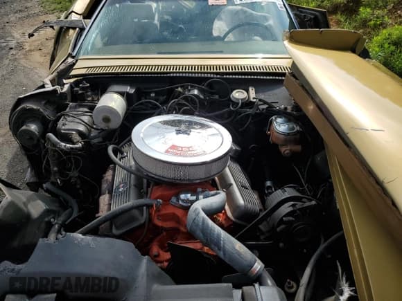 ✅ 1969 Chevrolet Corvette • VIN: 194379S730210 • Лот: 62828065. Опубликован ранее на Copart с пробегом 49 077 миль. Бесплатный доступ к архиву аукционных продаж из США и подробный отчёт об истории автомобиля на DreamBid. Изображение 11.