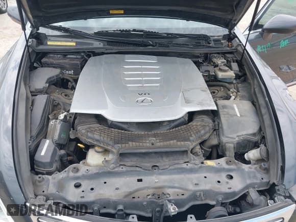 ✅ 2008 Lexus LS 460 • VIN: JTHBL46F685053432 • Lot: 43049861. Wystawiony na IAAI z przebiegiem 217 087 mil. Bezpłatny archiwum sprzedaży aukcyjnych z USA i szczegółowy raport historii pojazdu na DreamBid. Zdjęcie 10.