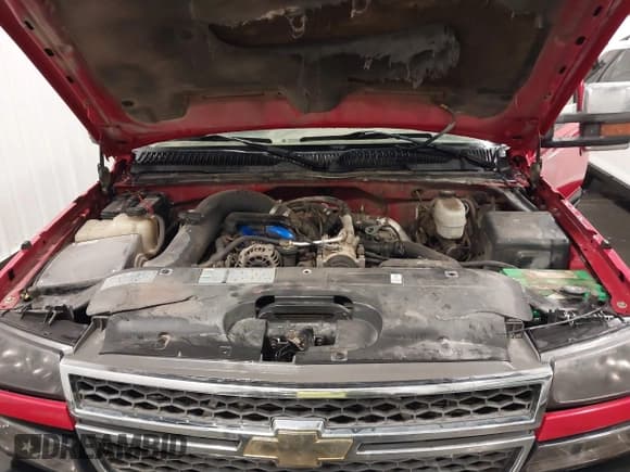 ✅ 2005 Chevrolet Silverado 2500HD LS • VIN: 1GCHK23235F812421 • Lot: 42096187. Wystawiony na IAAI z przebiegiem 328 958 mil. Bezpłatny archiwum sprzedaży aukcyjnych z USA i szczegółowy raport historii pojazdu na DreamBid. Zdjęcie 10.