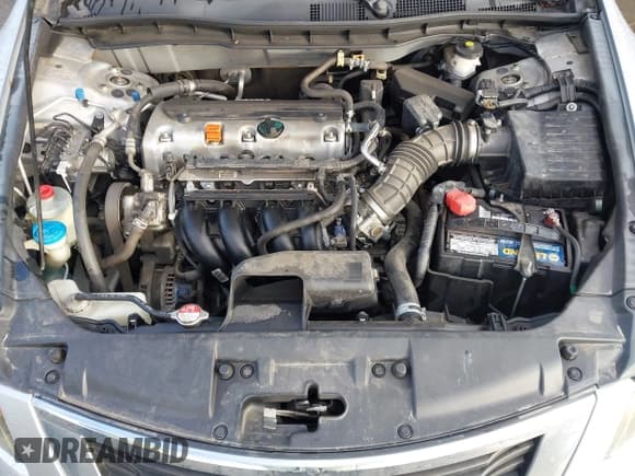 ✅ 2010 Honda Accord LX-P • VIN: 1HGCP2F43AA035918 • Lot: 43713299. Listed on IAAI with 160,177 mi. Free auction sales archive from the USA and detailed vehicle history report at DreamBid. Image 10.