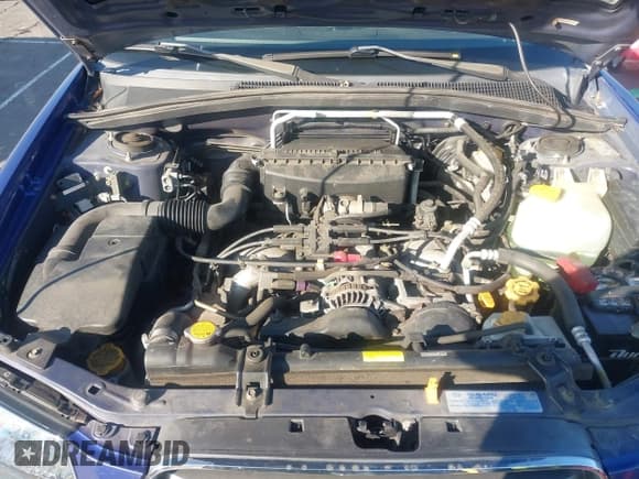 ✅ 2004 Subaru Forester X • VIN: JF1SG63634H730280 • Lot: 43617890. Listed on IAAI with 77,543 mi. Free auction sales archive from the USA and detailed vehicle history report at DreamBid. Image 10.