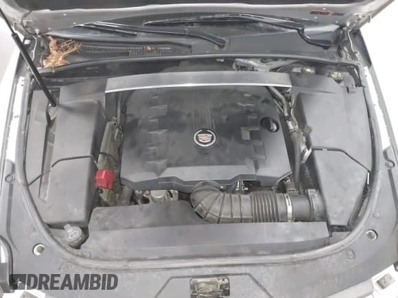 ✅ 2011 Cadillac CTS Performance • VIN: 1G6DL1ED2B0166164 • Lot: 41739011. Wystawiony na IAAI z przebiegiem 139 321 mil. Bezpłatny archiwum sprzedaży aukcyjnych z USA i szczegółowy raport historii pojazdu na DreamBid. Zdjęcie 10.