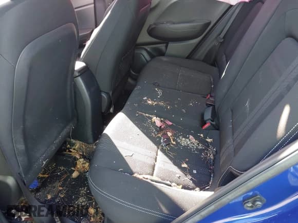 ✅ 2023 Hyundai Venue SEL • VIN: KMHRC8A30PU266073 • Лот: 41223588. Опубликован ранее на IAAI с пробегом 12 801 миль. Бесплатный доступ к архиву аукционных продаж из США и подробный отчёт об истории автомобиля на DreamBid. Изображение 8.