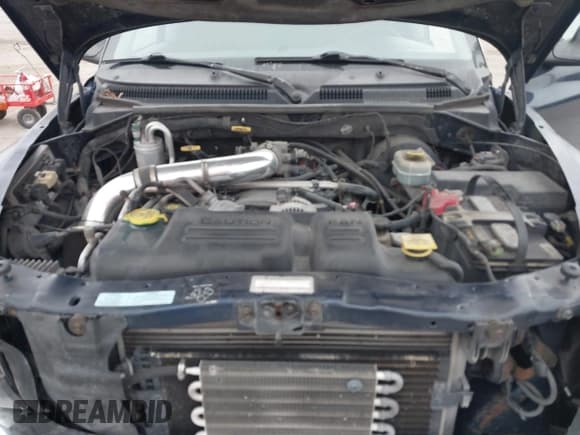 ✅ 2001 Dodge Dakota Sport • VIN: 1B7GG2AN81S160729 • Lot: 41500485. Wystawiony na IAAI z przebiegiem 161 279 mil. Bezpłatny archiwum sprzedaży aukcyjnych z USA i szczegółowy raport historii pojazdu na DreamBid. Zdjęcie 10.