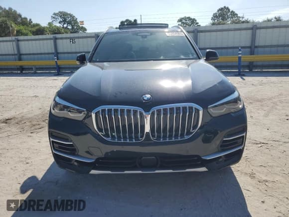 ✅ 2023 BMW X5 sDrive40i • VIN: 5UXCR4C00P9N83938 • Lot: 66894985. Wystawiony na Copart z przebiegiem Nie podano. Bezpłatny archiwum sprzedaży aukcyjnych z USA i szczegółowy raport historii pojazdu na DreamBid. Zdjęcie 5.