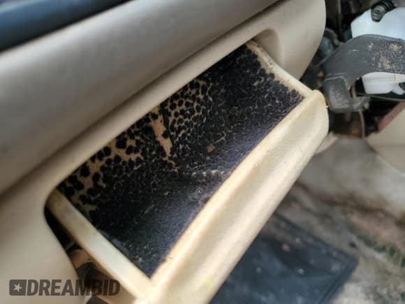 ✅ 1995 Honda Accord LX • VIN: 1HGCD7231SA037414 • Лот: 71351464. Опубликован ранее на Copart с пробегом 98 119 миль. Бесплатный доступ к архиву аукционных продаж из США и подробный отчёт об истории автомобиля на DreamBid. Изображение 13.