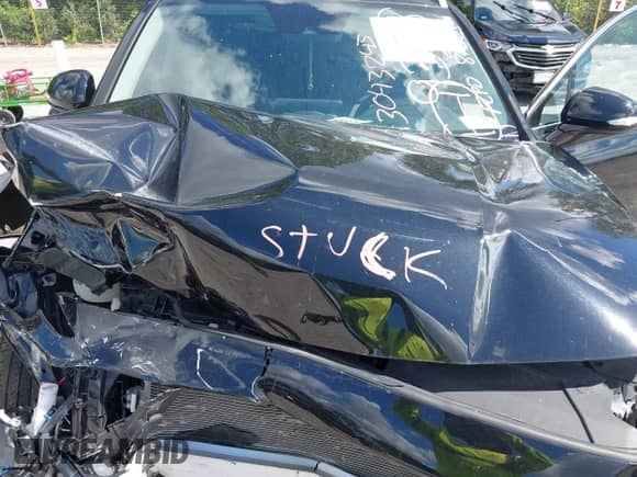 2023 Hyundai Santa Fe SEL z VIN 5NMS24AJ7PH599328, wystawiony jako IAAI lot #43043245 z przebiegiem 22 136 mil mil oraz . Historia ofert i sprzedaży dostępna na DreamBid. Obrazek 10.