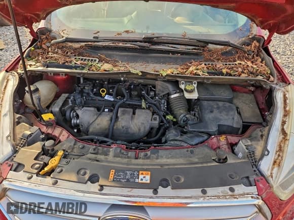 ✅ 2017 Ford Escape Titanium • VIN: 1FMCU0J90HUC35559 • Лот: 93352335. Опубликован ранее на Copart с пробегом 146 556 миль. Бесплатный доступ к архиву аукционных продаж из США и подробный отчёт об истории автомобиля на DreamBid. Изображение 12.