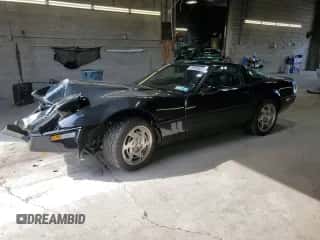 1990 Chevrolet Corvette with VIN 1G1YZ23J0L5801889, listed as a Copart auction lot 73566534 with Not provided miles and Salvage title. Bid and sale history available at DreamBid. Image 1.