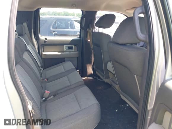 ✅ 2009 Ford F-150 XL • VIN: 1FTRW14839FB21899 • Lot: 42821998. Listed on IAAI with 182,665 mi. Free auction sales archive from the USA and detailed vehicle history report at DreamBid. Image 8.