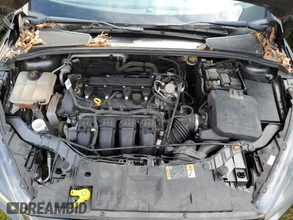 ✅ 2016 Ford Focus SE • VIN: 1FADP3K27GL332979 • Lot: 80955145. Wystawiony na Copart z przebiegiem 67 131 mil. Bezpłatny archiwum sprzedaży aukcyjnych z USA i szczegółowy raport historii pojazdu na DreamBid. Zdjęcie 7.