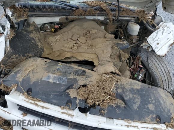 ✅ 2004 Chevrolet Suburban Z71 • VIN: 3GNFK16Z54G231050 • Лот: 75822914. Опубликован ранее на Copart с пробегом Не указан. Бесплатный доступ к архиву аукционных продаж из США и подробный отчёт об истории автомобиля на DreamBid. Изображение 12.