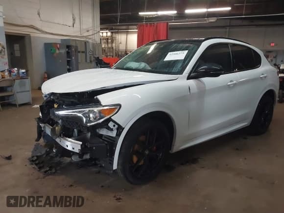 ✅ 2021 Alfa Romeo Stelvio Ti • VIN: ZASPAKBN1M7D10288 • Lot: 42506375. Listed on IAAI with 29,573 mi. Free auction sales archive from the USA and detailed vehicle history report at DreamBid. Image 17.