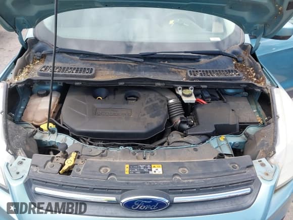 ✅ 2013 Ford Escape SE • VIN: 1FMCU0G95DUC62418 • Lot: 42081461. Wystawiony na IAAI z przebiegiem 139 062 mil. Bezpłatny archiwum sprzedaży aukcyjnych z USA i szczegółowy raport historii pojazdu na DreamBid. Zdjęcie 10.