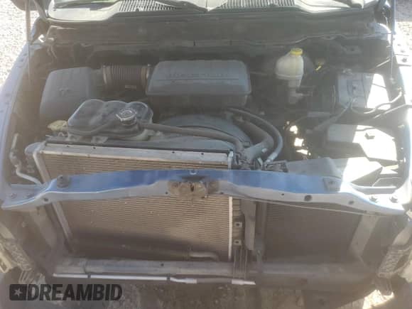 2003 Dodge 1500 ST z VIN 1D7HA16K33J503900, wystawiony jako Copart lot #73180344 z przebiegiem 188 112 mil mil oraz Czysty tytuł • Clean title. Historia ofert i sprzedaży dostępna na DreamBid. Obrazek 11.