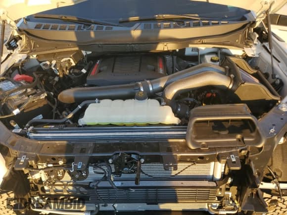 ✅ 2025 Ford F-150 Raptor • VIN: 1FTFW1RG3SFB37187 • Лот: 81330305. Опубликован ранее на Copart с пробегом 844 миль. Бесплатный доступ к архиву аукционных продаж из США и подробный отчёт об истории автомобиля на DreamBid. Изображение 11.