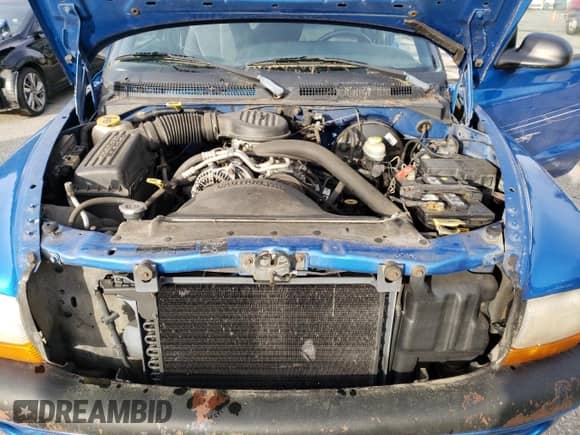 1998 Dodge Dakota SLT with VIN 1B7GG22XXWS598594, listed as a Copart auction lot 75330344 with 167,518 mi miles and Clean title. Bid and sale history available at DreamBid. Image 11.