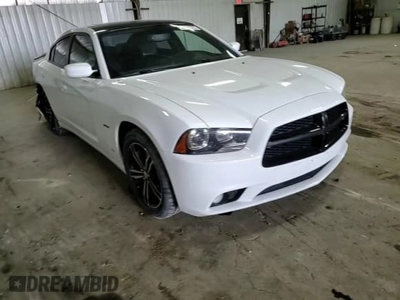 ✅ 2013 Dodge Charger RT Plus • VIN: 2C3CDXDT2DH608302 • Lot: 58351375. Listed on Copart with 172,369 mi. Free auction sales archive from the USA and detailed vehicle history report at DreamBid. Image 13.