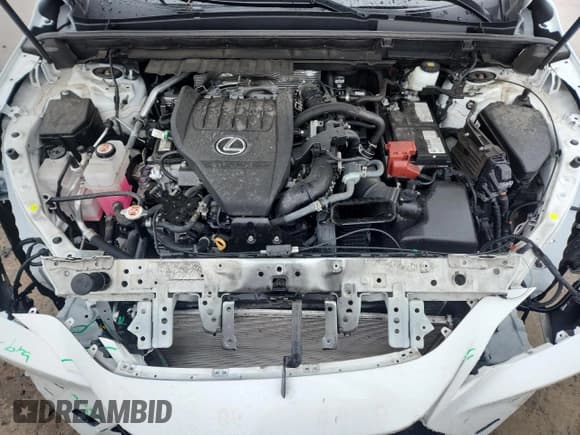 ✅ 2024 Lexus NX 350 F Sport • VIN: 2T2KGCEZ6RC039350 • Lot: 81663145. Wystawiony na Copart z przebiegiem 27 675 mil. Bezpłatny archiwum sprzedaży aukcyjnych z USA i szczegółowy raport historii pojazdu na DreamBid. Zdjęcie 12.