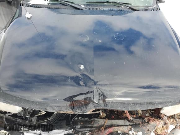 ✅ 2006 Chevrolet Suburban Z71 • VIN: 3GNFK16Z76G121460 • Лот: 42375575. Опубликован ранее на Copart с пробегом Не указан. Бесплатный доступ к архиву аукционных продаж из США и подробный отчёт об истории автомобиля на DreamBid. Изображение 13.