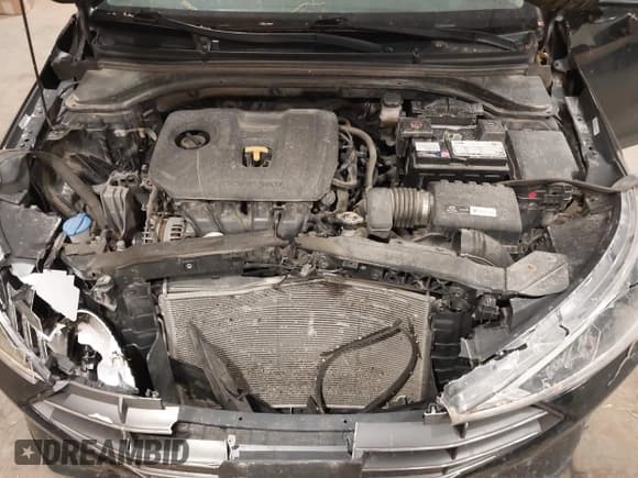 ✅ 2019 Hyundai Elantra SE • VIN: KMHD74LF8KU756994 • Lot: 42260988. Listed on IAAI with 148,428 mi. Free auction sales archive from the USA and detailed vehicle history report at DreamBid. Image 10.