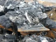 ✅ 2017 Ram ProMaster Cargo • VIN: 3C6URVJG2HE543506 • Lot: 62124005. Wystawiony na Copart z przebiegiem Nie podano. Bezpłatny archiwum sprzedaży aukcyjnych z USA i szczegółowy raport historii pojazdu na DreamBid. Zdjęcie 9.