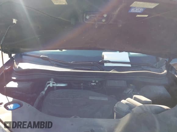 ✅ 2016 Honda Pilot EX-L • VIN: 5FNYF6H67GB032565 • Lot: 43522486. Wystawiony na IAAI z przebiegiem 154 223 mil. Bezpłatny archiwum sprzedaży aukcyjnych z USA i szczegółowy raport historii pojazdu na DreamBid. Zdjęcie 10.