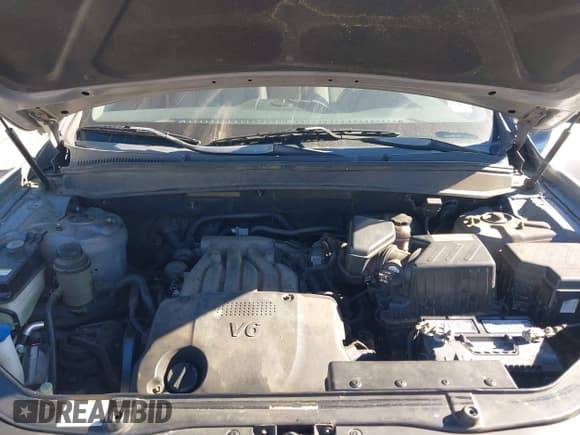 ✅ 2008 Hyundai Santa Fe GLS • VIN: 5NMSG13D88H209975 • Lot: 43730056. Wystawiony na IAAI z przebiegiem 213 008 mil. Bezpłatny archiwum sprzedaży aukcyjnych z USA i szczegółowy raport historii pojazdu na DreamBid. Zdjęcie 10.