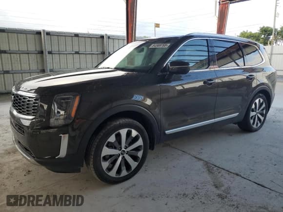 ✅ 2020 Kia Telluride EX • VIN: 5XYP34HCXLG066890 • Lot: 84569765. Wystawiony na Copart z przebiegiem Nie podano. Bezpłatny archiwum sprzedaży aukcyjnych z USA i szczegółowy raport historii pojazdu na DreamBid. Zdjęcie 1.