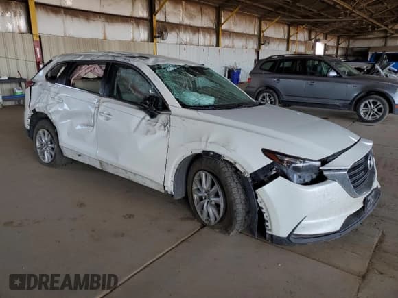 ✅ 2016 Mazda CX-9 Sport • VIN: JM3TCBBY6G0113598 • Lot: 62902805. Listed on Copart with 160,042 mi. Free auction sales archive from the USA and detailed vehicle history report at DreamBid. Image 4.