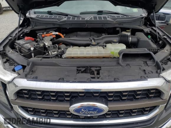 ✅ 2021 Ford F-150 XL • VIN: 1FTFW1ED0MFB72817 • Lot: 84650395. Listed on Copart with 65,546 mi. Free auction sales archive from the USA and detailed vehicle history report at DreamBid. Image 11.