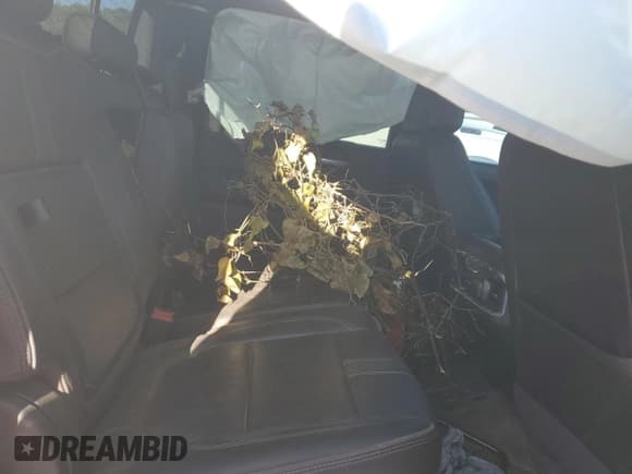 ✅ 2019 Chevrolet Silverado 1500 High Country • VIN: 1GCUYHEL3KZ239309 • Lot: 73355324. Wystawiony na Copart z przebiegiem Nie podano. Bezpłatny archiwum sprzedaży aukcyjnych z USA i szczegółowy raport historii pojazdu na DreamBid. Zdjęcie 11.