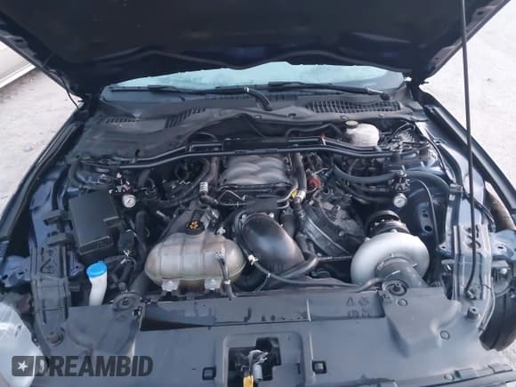 ✅ 2020 Ford Mustang GT • VIN: 1FA6P8CF3L5158219 • Lot: 43182874. Listed on IAAI with 30,818 mi. Free auction sales archive from the USA and detailed vehicle history report at DreamBid. Image 10.