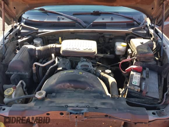 2007 Dodge Dakota SLT with VIN 1D7HW48K17S141534, listed as a IAAI auction lot 43202323 with 187,741 mi miles and . Bid and sale history available at DreamBid. Image 10.