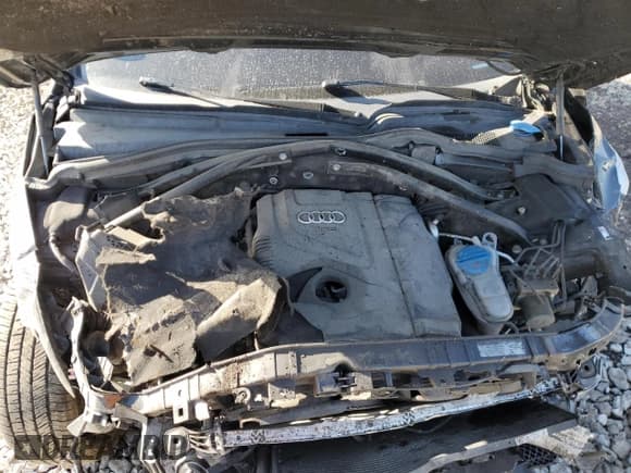 ✅ 2017 Audi Q5 Premium Plus • VIN: WA1L2AFP1HA094035 • Lot: 52398275. Wystawiony na Copart z przebiegiem Nie podano. Bezpłatny archiwum sprzedaży aukcyjnych z USA i szczegółowy raport historii pojazdu na DreamBid. Zdjęcie 12.